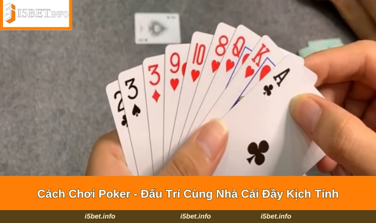 Cách Chơi Poker - Đấu Trí Cùng Nhà Cái Đầy Kịch Tính 7 Cách Chơi Poker